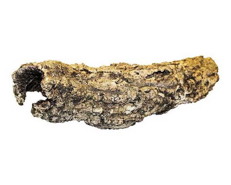 ProRep Cork Bark Small Tube - Short