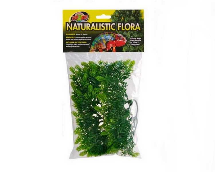 ZM Malaysian Fern - Small